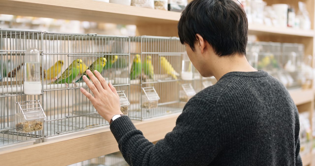 ペットショップの小鳥コーナーでケージの中のセキセイインコを見比べている人物の手元の写真