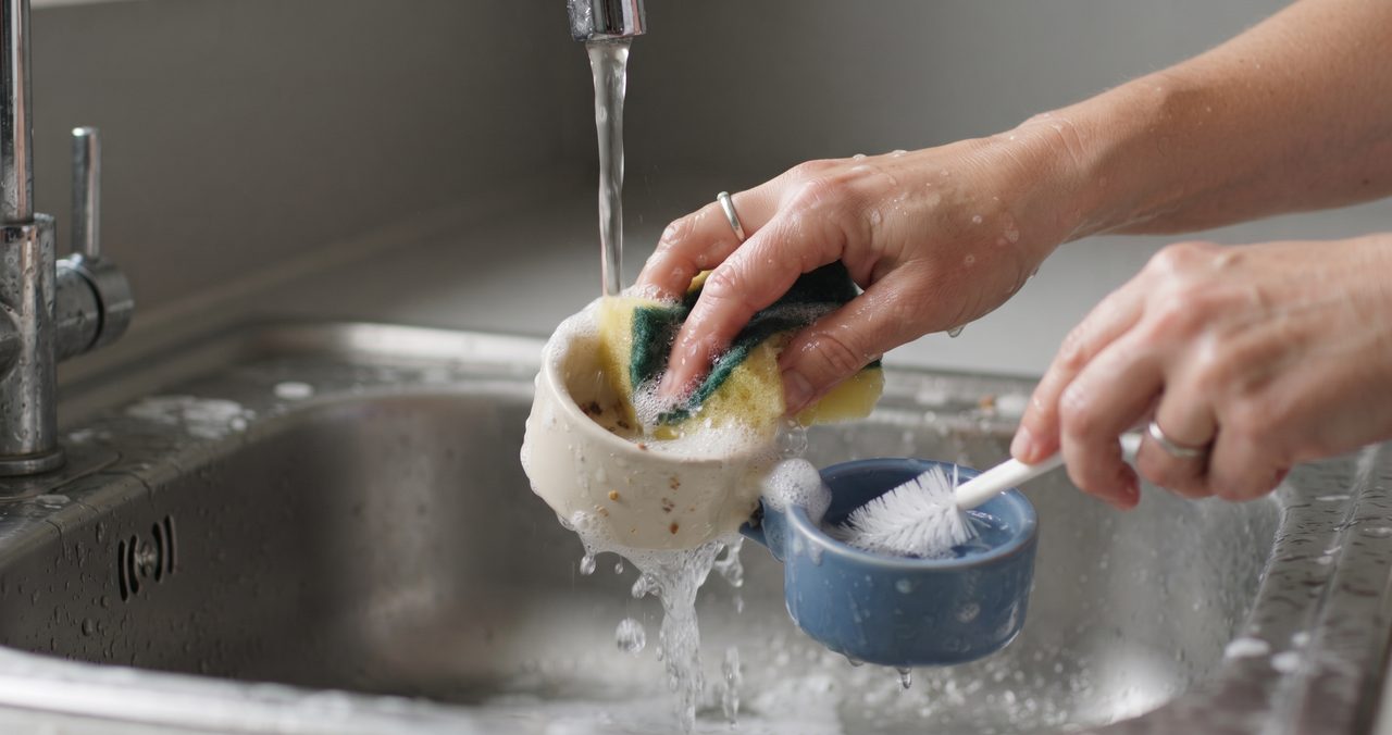 キッチンのシンクで、鳥用のエサ入れと水入れの皿をスポンジと細いブラシでこすり洗いしている手元