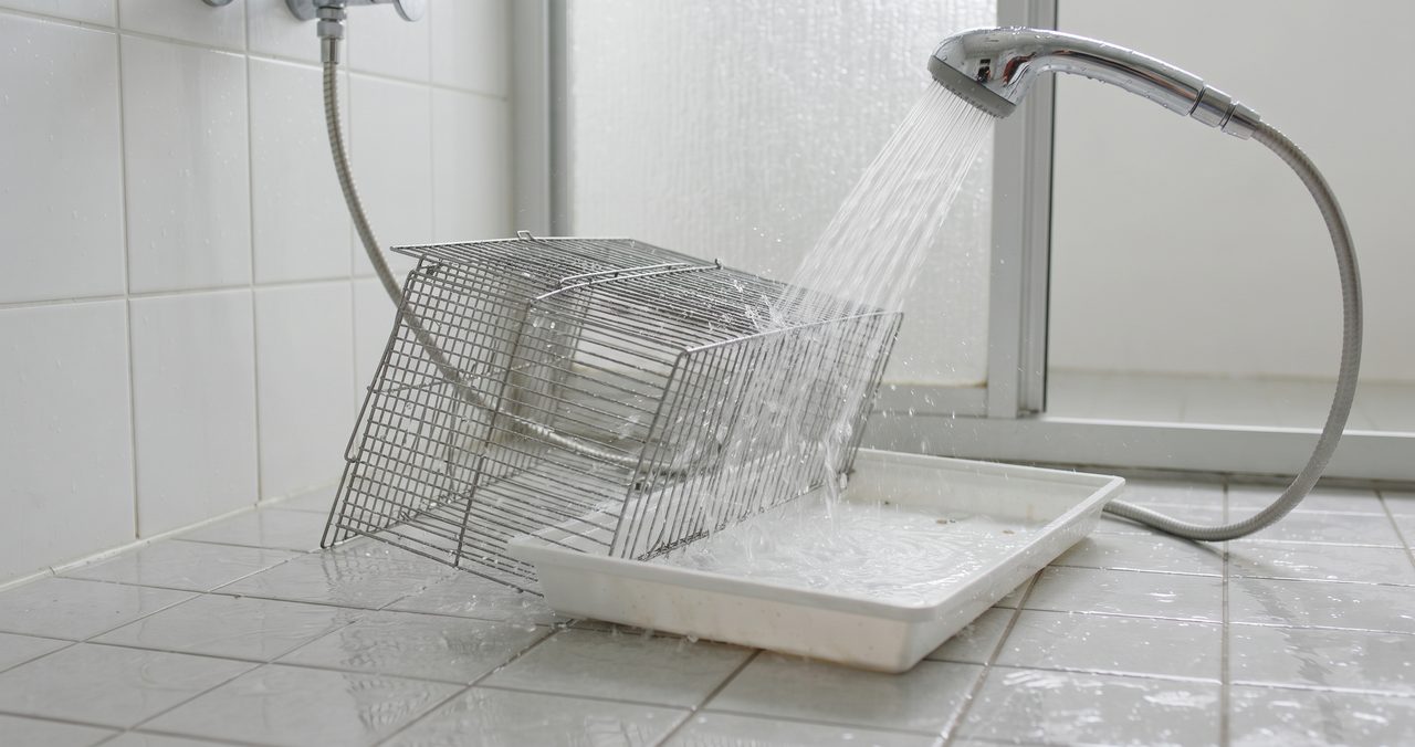 浴室で、鳥かごから取り外した網状のパーツと底面トレイに、シャワーの水をかけて丸洗いしている様子